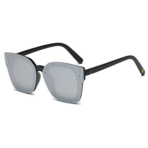 Lunettes polarisées anti-reflet avec verres colorés protection UV