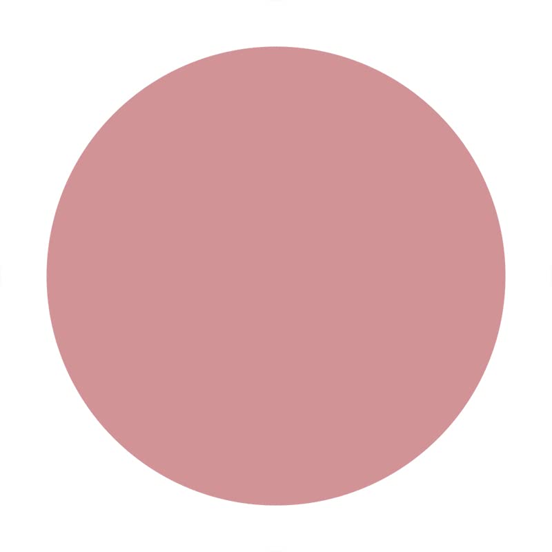 Sfondo Fotografico Rotondo 200 Cm - Rosa Con Orsetti E Palloncini Per Feste E Ritratti Bambini