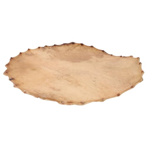 Totority hXL phwbh Ŋyp ` ^oΉ ^