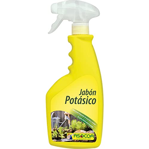 ASOCOA COA127 Potassium Soap Concentrate 1 Litre, Yellow