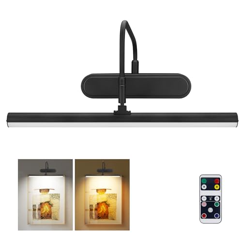 Image of RAIFOOLLY Picture Light,3AA Battery Art Lights for Paintings,Wireless Wall Lighting,Remote Control Accent Light with Timer and Dimmable for Frame,Portrait,Dartboard-Black