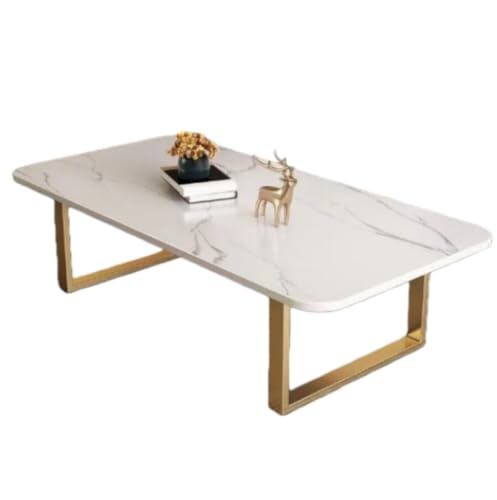 LPYROSE [e[u  Z^ rO \t@ 嗝ΒV X`[r ϔM1200 Hi 80×40×45cm EDEOF RpNg ȒP (F̋rtfXNgbv 80*40*45)