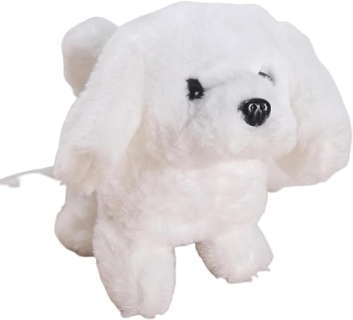 gCv[h dybg ʂ ᓮʂ Mtg       񂿂 qփv[g aEnEB[ENX}XEVN ʂ R[M[ (F) [sAi]