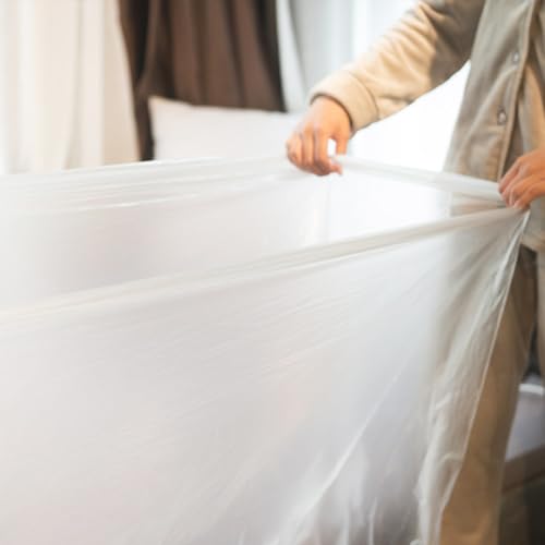 Anneome ĝăoX^uobO ^oX^uCi[ 10 ze T ƒp qیp