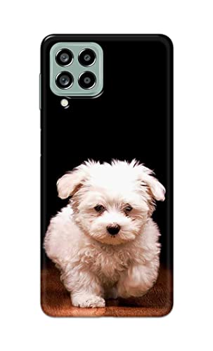 Image of PRINTFIDAA� Printed Hard Back Cover Case for Samsung Galaxy M53 5G Back Cover (Puppy Dog) -2808