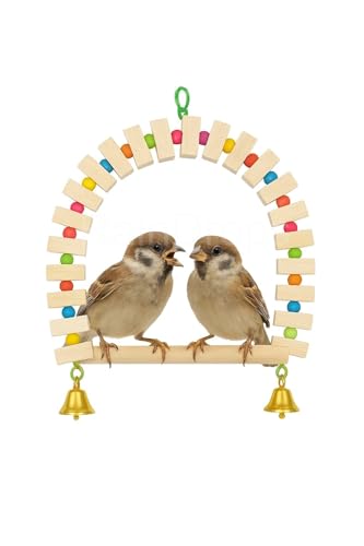 Image of Raindrops Wooden Swing with Colourful Beads for Bird Cages|Birds Stress Free Items|Cage Accessories|Wooden Ladder|Swing with Dotted Perch|Birds Chew Toy|Training aid Toy (Height 23.5cm-Pack of 1)