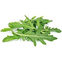Arugula Seeds - 1000 Seeds by OrginBud