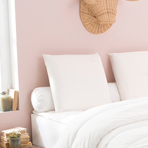 DODO - Oreiller Végétal Memory Green 33x60 cm - Enveloppe 100% Viscose - Garnissage Mousse Mémoire de Forme - Confort Ergonomique, Soutien Ferme - Lavable...