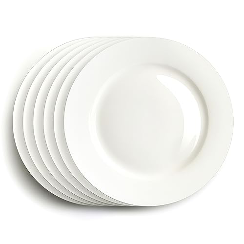 Iqcwood DINNER PLATES Set Of 6, 10.5 Inch Round Plates thumb #1