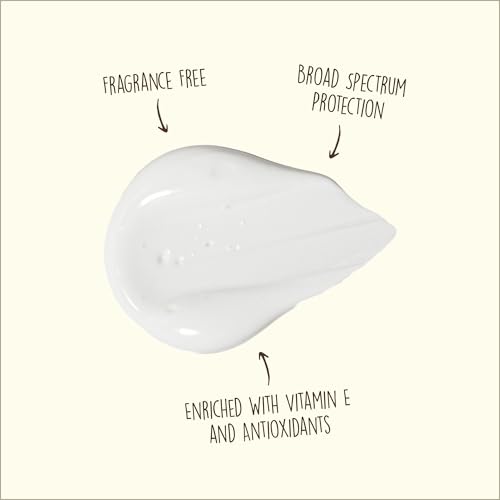 Sun Bum Original SPF 70 Sunscreen Face Lotion - Broad Spectrum Moisturizing Facial Sunscreen with Vitamin E - Fragrance Free - Travel Size - 3 oz