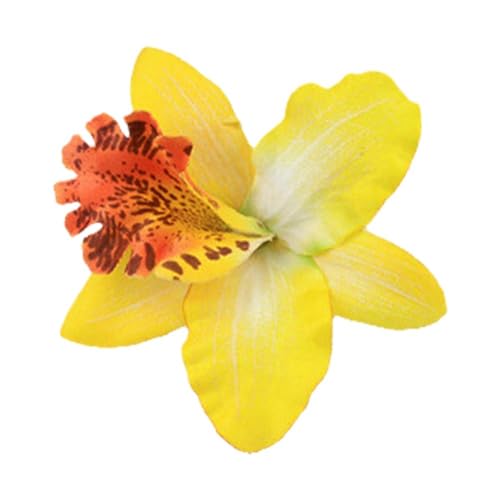 nCAnCrXJXwANbv  wAs /vA wAANZT[ nC  wbhhX ǂ ʐ^Be t