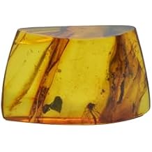 Baltic Amber fossil with Mosquito Insect - Natural stone 2g