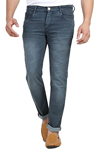 RAGZO Jeans for Men || Men Jeans Pants || Jeans Pant for Men || Stretchable Jeans (ri225313c) (Grey, 32)