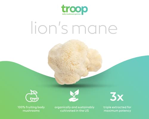 Troop Mushroom Lion's Mane Gummies, Supplement for Focus & Mood, Cognitive, Immune & Memory Support - Brain Boost, Natural Peach Mango Flavored Nootropic with Fruit Body Gummy - Vegan, 60 Count - Image 6