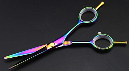 Forbici Professionali da 5，5 Pollici a Due Code， Forbici sfoltitrici Arcobaleno， Forbici da Barbiere， Set di Forbici per Parrucchieri，