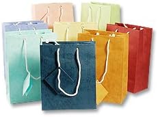 Gift Bag Medium Assorted Pastel (Package of 20)