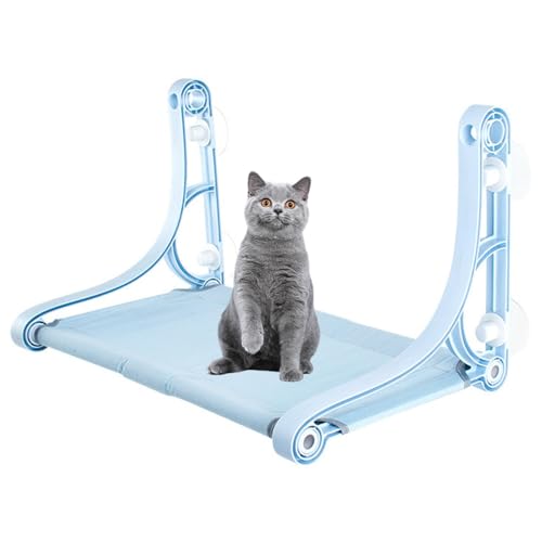 Lifetips ueBbVV[gwA British Shorthair Lp zՎnbN ӃLbgxbh ݂艺 ω׏d10kg ^LΉ ͋z Œ ȃXy[X p ܂肽 􂦂 gȒP  nbN