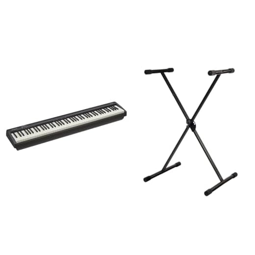 Roland FP-10 — Piano digital de 88 teclas portátil, ideal para tocar en casa y practicar, negro & PURE GEWA GEWA F900520 - Soporte de teclado, patas perfil simple,negro