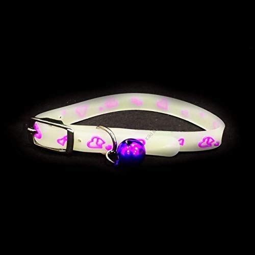 BLACKDOG Pets Collar Radium Adjustable Collar with Bell for Puppies/Kitten (Color May Vary) (B07WSJ49Y5) Amazon Price History, Amazon Price Tracker
