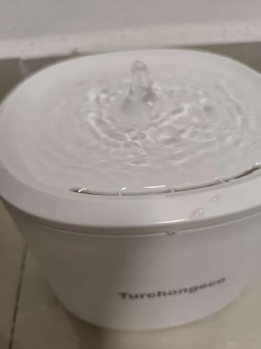 Fuente automática para beber agua para gatos y mascotas miniatura 7
