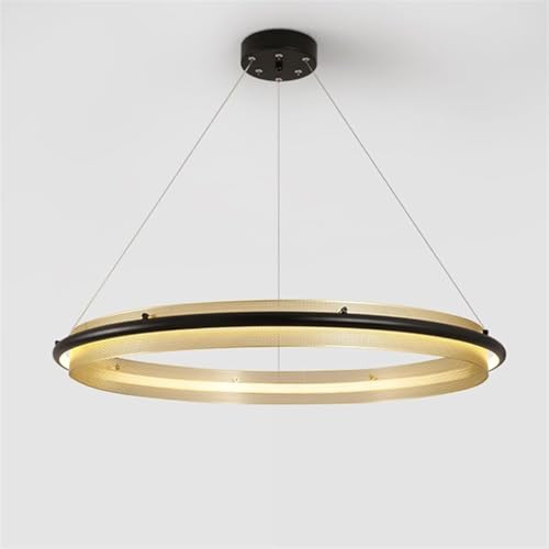Lustre LED salon et cuisine avec suspension anneau créative et éclairage tricolore réglable