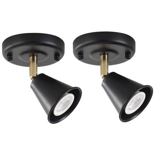 Image of Modern Flush Mount Ceiling Spot Light, Adjustable Directional Head, Black Spot Lights Indoor, Ceiling /Wall Mounted Single Track Light for Living Room, Corridor, Stairs.(2 Pack )