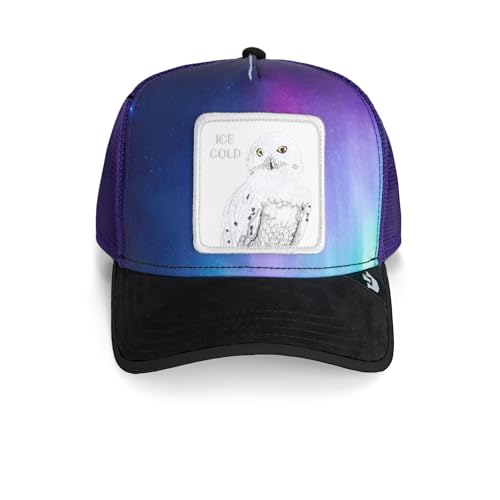 Image of Goorin Bros. Arctic Sky Collection Trucker Hat