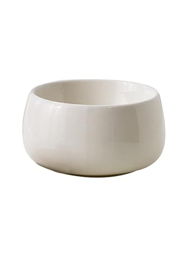 Serene Spaces Living Small Glossy White Ceramic Bowl, Modern Terrarium