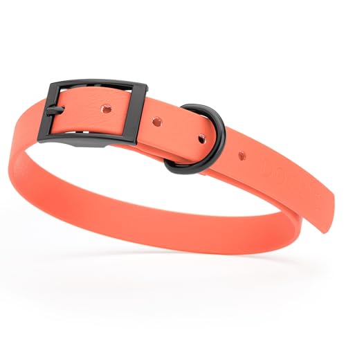 Image of Dogline Biothane Waterproof Dog Collar Strong Coated Nylon Webbing with Black Hardware Odor- Proof for Easy Care Easy to Clean High Performance Fits Small Medium or Large Dogs, Coral