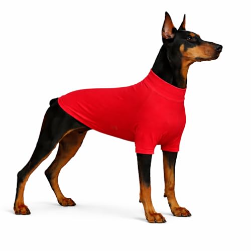 LoveLongLong Spring Summer Cooling Dog T-Shirt with UV Protection and Moisture-Wicking Fabric Blank Color Red 2XL