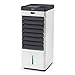 Black+Decker Climatizzatore Evaporativo, Ventilatore, Umidificatore, Purificatore, 4 Contenitori Di Ghiaccio, 5L, Bianco