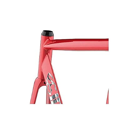 Cinelli Vigorelli Shark Track Frame