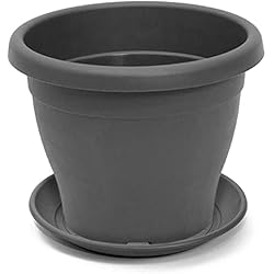Macetas Fibrocemento Exterior Tradineur – Maceta con Plato Tipo mediterránea, 25 cm de diámetro, Ideal Tanto para Interior como Exterior. Jardinera Alta con Agujeros para drenar Agua, Color Gris