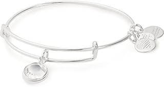 Alex and Ani Birthstones Expandable Bangle for Women, Crystal Charm for Every Month