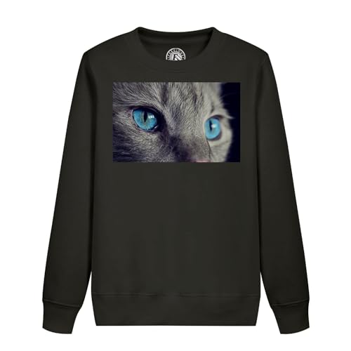 Sweatshirt enfant chat gris Korat le pull doux au regard magnétique