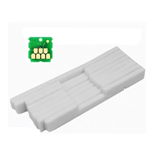 Boîte d'entretien OEM C13S400086 pour Epson D1000 D1080 éponge intégrée