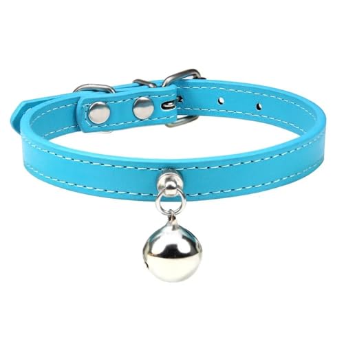 VõxƂ̃\bhJ[PUU[\ȔL̎փpO`v[h[NV[eA,o,XS