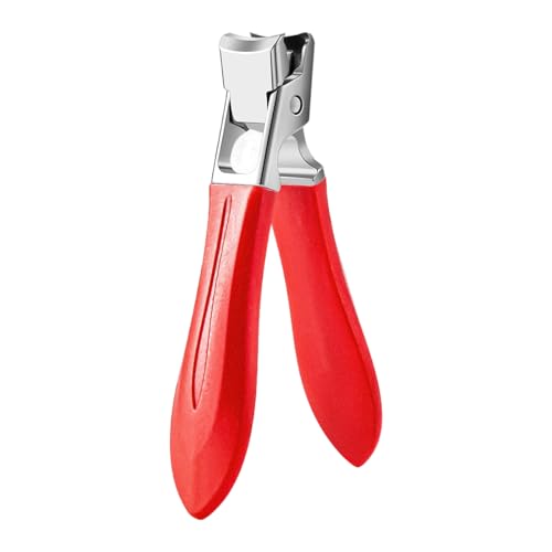 ̒܃Jb^[ptlCJb^[XeX|̒܂̃g}[傫ȊJ̒܃Jb^[