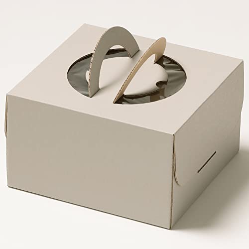 nR}VF i`O[fR P[L P[L{bNX 5 H113 10