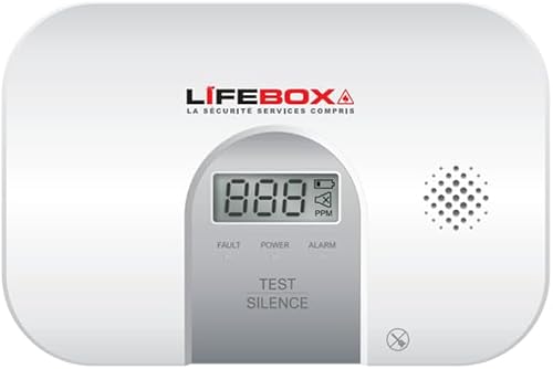 Detecteur de Monoxyde de Carbone NF en 50291 avec ecran Digital 