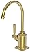Newport Brass 3170-5613/24S Newport Brass 3170-5613 Adams 1.0 GPM Single Hole Single Handle Water Dispenser Faucet with Brass Handles