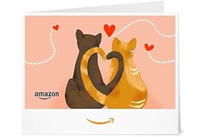 Amazon Gift Card Cat: Perfect Present for Any Occasion
