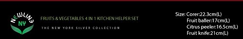 NewlineNY Stainless Steel Kitchen Tools (4 in 1 Fruit & Kitchen Helper)
