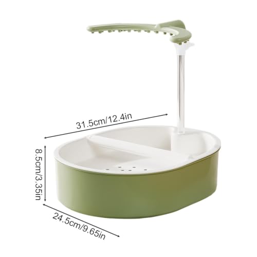 Baño de loro con agua corriente para cacatúa y loro gris doméstico 6