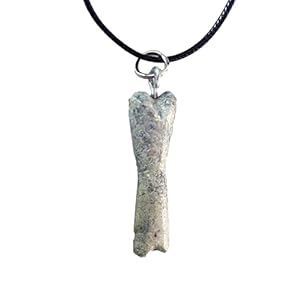 Genuine Dinosaur Bone Fossil N...