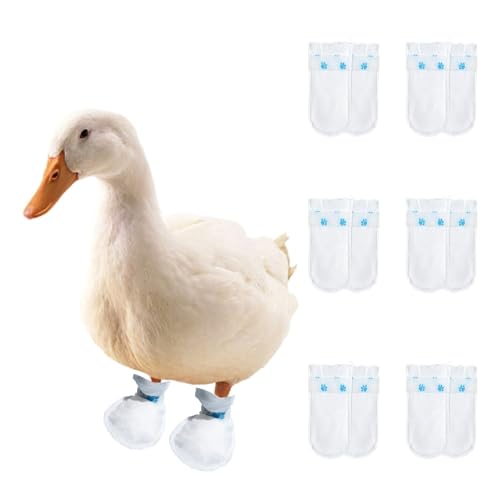 MANON ROSA Duck Shoes for Real Ducks Chickens 6-Pair Waterproof & Disposable Booties with Self-Adhesive Bandage for Waterfowl Wound Foot Care Bumblefoot (Waterproof Version,Medium)