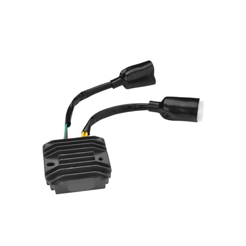 Régulateur de tension redresseur contre panne de batterie CBF1000 - 4