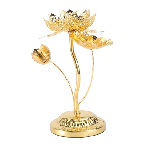 HYTROVE w̍@̃vz_[ p[eB[ 낤 @Lhz_[X^h ꂽ [\N  ۗL LhC ^Lhz_[ Golden