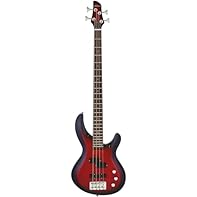 Body: Basswood, Carved Top Neck: Maple, Bolt-on Fingerboard: Rosewood Number of Frets: 24