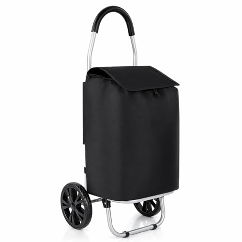 Carro de Compra Plegable 2 Ruedas Grandes | Carrito de la Compra Ligero con Bolsa Impermeable y Desmontable | Carga hasta 25kg | Capacidad 35 litros | Multiusos Estructura de Acero Robusta